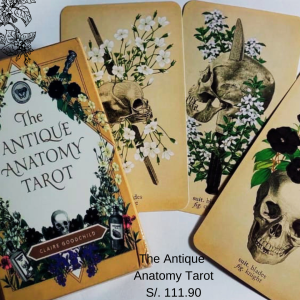 The Antique Anatomy Tarot